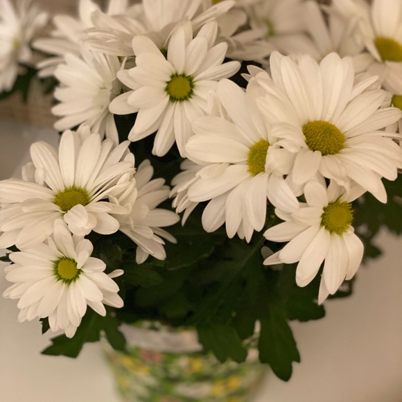 Meet your Posher, Jennifer - Picture 1 of 1